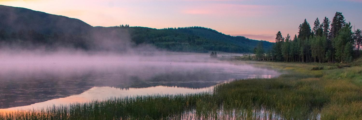landscape of fog on a river