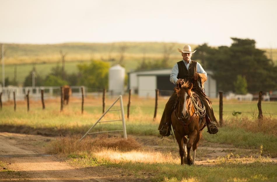 A farmer riding his horse on his farm