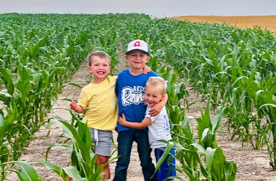 3 KIDS STANDING IN A CORNFIELD