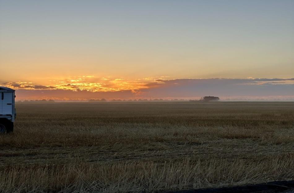 sun setting over an open field